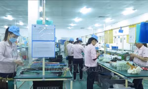 Thủ tướng Chính phủ đôn đốc thực hiện nhiệm vụ sau kỳ nghỉ Tết