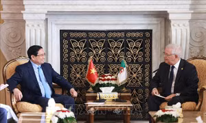 Thủ tướng Phạm Minh Chính hội kiến Chủ tịch Thượng viện Algeria