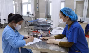 Những bác sỹ sáng y đức, vững chuyên môn