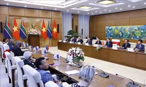 Đưa hợp tác nghị viện trở thành một trụ cột của quan hệ song phương Việt Nam - Nam Phi