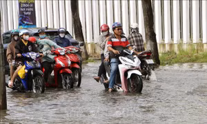Đề phòng nguy cơ ngập do triều cường ở vùng trũng thấp ven biển Đông Nam Bộ