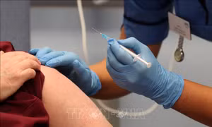 EMA nhận định dịch COVID-19 chưa kết thúc