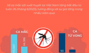 Cả nước đã có 66.386 ca mắc sốt xuất huyết, 14 ca tử vong