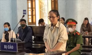 Lừa đảo chiếm đoạt hàng chục tỷ đồng, cựu nhân viên ngân hàng lĩnh 19 năm tù