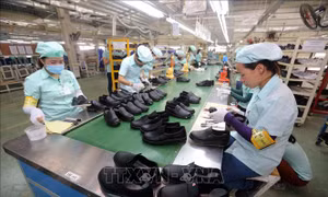Chủ động ứng phó với các tình huống trong cuộc chiến thương mại Mỹ - Trung