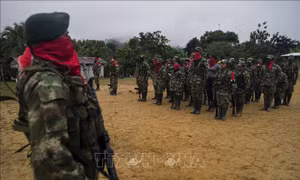 Nhóm vũ trang ELN tại Colombia tuyên bố ngừng bắn dịp giáng sinh và năm mới