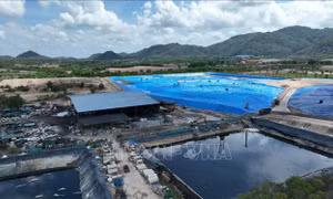 Tiêu chí lựa chọn nhà đầu tư thực hiện dự án Nhà máy xử lý chất thải rắn sinh hoạt