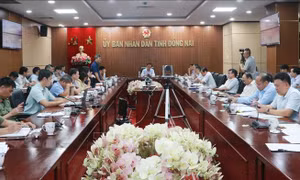 Đẩy nhanh giải phóng mặt bằng để phục vụ thi công cao tốc Biên Hòa - Vũng Tàu