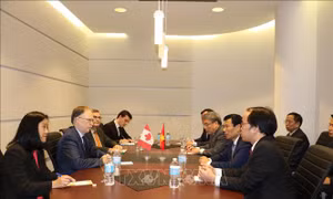 Xây dựng 'cầu nối mềm' trong quan hệ Canada – Việt Nam