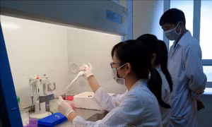 Công bố kết quả nghiên cứu bộ sinh phẩm phát hiện SARS-Cov-2
