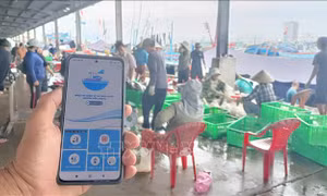 Hỗ trợ cấp hồ sơ truy xuất nguồn gốc thủy sản trên hệ thống eCDT