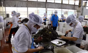 Phát triển vùng: Xoá bỏ xung đột lợi ích 'Mạnh ai nấy làm'