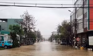 Gia Lai cho học sinh nghỉ học để tránh ngập, lũ