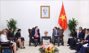 Phó Thủ tướng Trần Hồng Hà tiếp Đại sứ Hoa Kỳ Marc Knapper