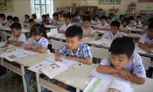 Bộ GD&ĐT yêu cầu không giao thêm bài tập về nhà cho học sinh lớp 1