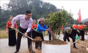 'Ngày cuối tuần cùng dân' ở Yên Bái - Bài cuối: Lan tỏa sâu rộng