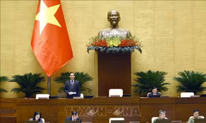 Thông cáo báo chí số 11 Kỳ họp thứ 8, Quốc hội khóa XV