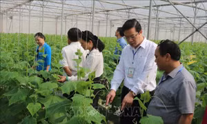 Những mô hình tiêu biểu sau 10 năm xây dựng nông thôn mới