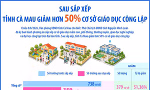 Sau sắp xếp, tỉnh Cà Mau giảm hơn 50% cơ sở giáo dục công lập