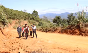 Xây dựng tuyến đường vào làng Đê Kôn (Gia Lai) sau phản ánh của TTXVN