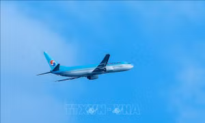 Tiếp viên hàng không Hàn Quốc đầu tiên mắc ung thư do phơi nhiễm bức xạ vũ trụ