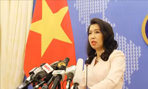 Việt Nam sẵn sàng cho việc triển khai các hiệp định EVFTA, EVIPA