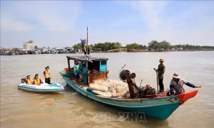 Chung sức đồng lòng chống khai thác bất hợp pháp