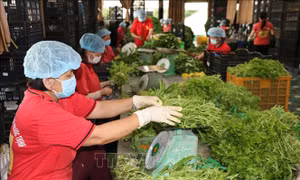 Kết nối hỗ trợ tiêu thụ sản phẩm giữa các địa phương