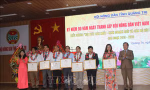 Quảng Trị biểu dương nông dân sản xuất kinh doanh giỏi