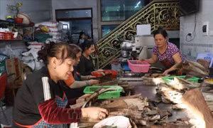 Mùa Tết, làng bánh gai Ninh Giang tăng gấp đôi sản lượng