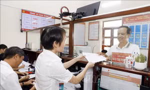 Công văn số 59-CV/BCĐ: Tiếp tục rà soát, sắp xếp tinh gọn tổ chức bộ máy bảo đảm không trùng dẫm 