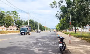 Tháo dỡ biển hạn chế tốc độ 20km/h sau phản ánh của Thông tấn xã Việt Nam