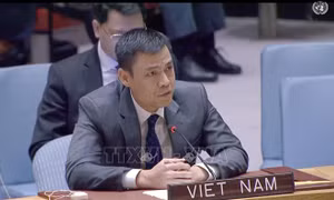 Việt Nam thăng hạng vượt bậc về Chỉ số phát triển con người