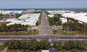 Đón sóng đầu tư từ nền tảng '4 tốt'