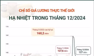 Chỉ số giá lương thực thế giới hạ nhiệt trong tháng 12/2024