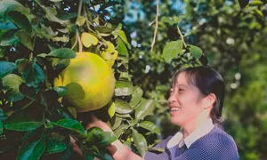 Nữ Bí thư dân vận khéo trong xây dựng nông thôn mới