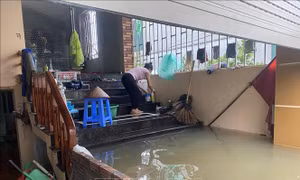 Huyện Quốc Oai (Hà Nội) cưỡng chế di dời các hộ dân khỏi vùng lũ nguy hiểm