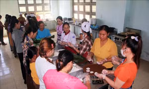 Xây dựng nhiều mô hình sinh kế hiệu quả vùng đồng bào dân tộc thiểu số