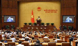Quốc hội thảo luận Luật Giao dịch điện tử và cơ chế, chính sách đặc thù phát triển TP Hồ Chí Minh