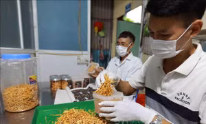 Linh hoạt trong quảng bá sản phẩm OCOP 