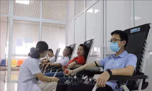 Ân tình những giọt máu hiếm​