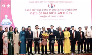 Tổng công ty Lương thực miền Nam chủ động đổi mới, nâng cao hiệu quả kinh doanh