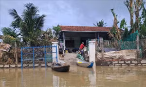 Tiếp thêm nguồn lực, động viên người dân vùng lũ vượt qua khó khăn, thách thức