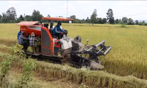 Làng nông thôn mới trong đồng bào dân tộc thiểu số