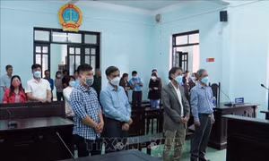 Xử phạt hai cựu lãnh đạo UBND huyện Đăk Hà (Kon Tum) về vi phạm trong quản lý đất đai