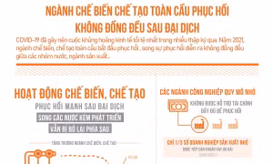 Ngành chế biến chế tạo toàn cầu phục hồi không đồng đều sau đại dịch