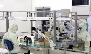 Hội nghị xúc tiến đầu tư trực tuyến Việt Nam - Singapore