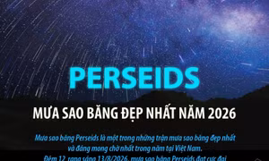 Perseids - Mưa sao băng đẹp nhất năm 2026