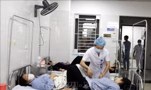 Vụ ngộ độc thực phẩm tại Bắc Giang: 100% mẫu bệnh phẩm cho kết quả dương tính với E.coli