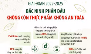 Bắc Ninh phấn đấu không còn thực phẩm không an toàn